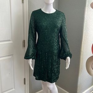NWT hunter green sequins dress size 10-12